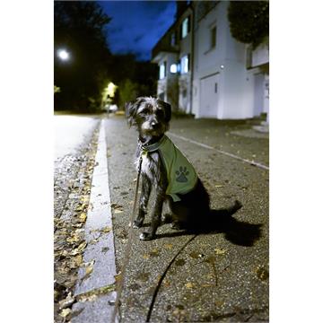 Leuchtweste Hund S
