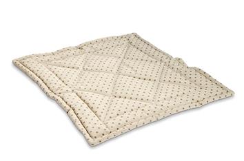 Couverture Gepunktete Veronika